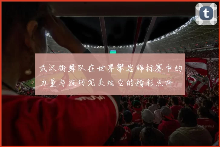 武汉街舞队在世界攀岩锦标赛中的力量与技巧完美结合的精彩点评