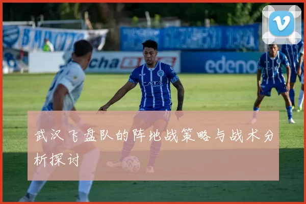武汉飞盘队的阵地战策略与战术分析探讨
