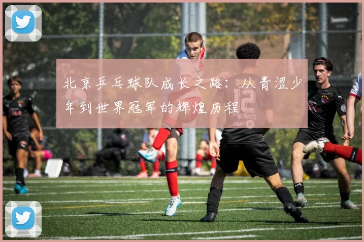 北京乒乓球队成长之路：从青涩少年到世界冠军的辉煌历程