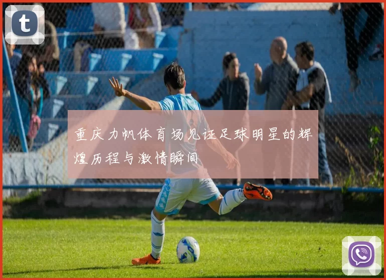 重庆力帆体育场见证足球明星的辉煌历程与激情瞬间