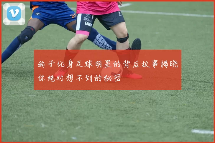 狗子化身足球明星的背后故事揭晓你绝对想不到的秘密