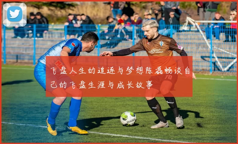 飞盘人生的追逐与梦想陈磊畅谈自己的飞盘生涯与成长故事