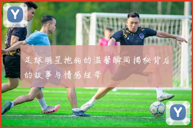 足球明星抱狗的温馨瞬间揭秘背后的故事与情感纽带