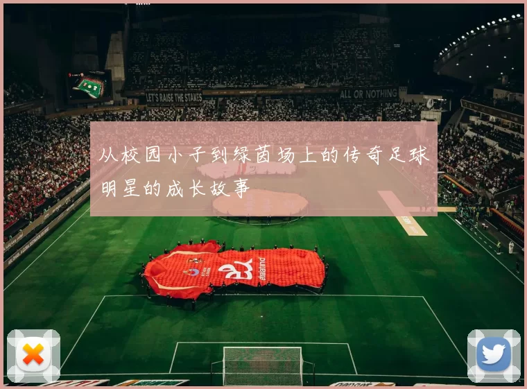 从校园小子到绿茵场上的传奇足球明星的成长故事