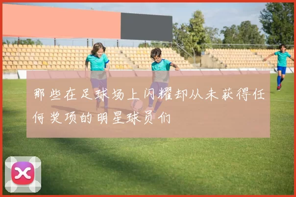 那些在足球场上闪耀却从未获得任何奖项的明星球员们