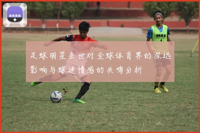 足球明星去世对全球体育界的深远影响与球迷情感的共鸣分析