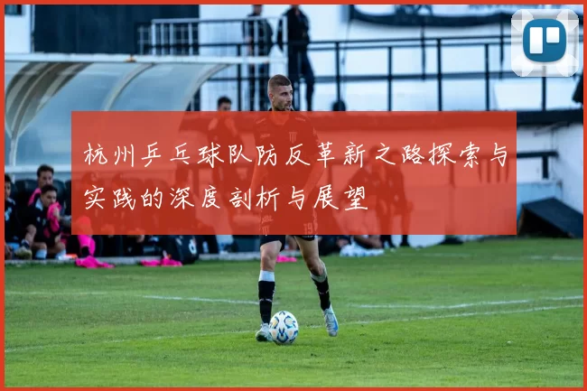 杭州乒乓球队防反革新之路探索与实践的深度剖析与展望