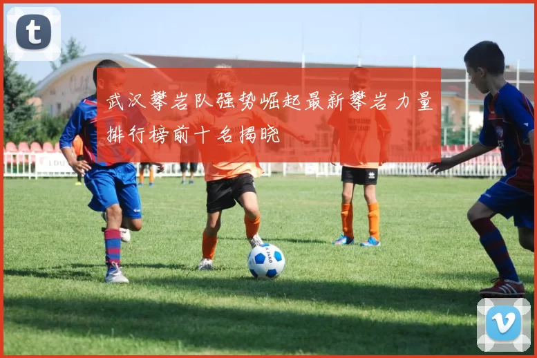 武汉攀岩队强势崛起最新攀岩力量排行榜前十名揭晓