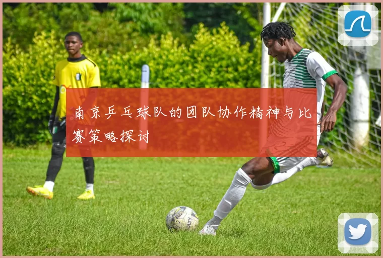 南京乒乓球队的团队协作精神与比赛策略探讨