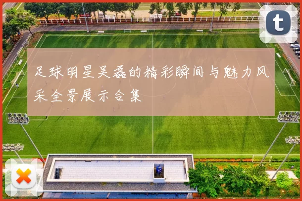 足球明星吴磊的精彩瞬间与魅力风采全景展示合集