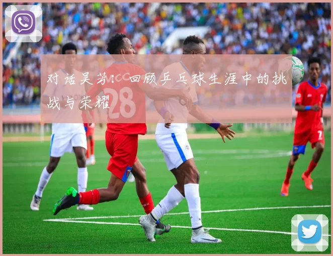 对话吴芳：回顾乒乓球生涯中的挑战与荣耀