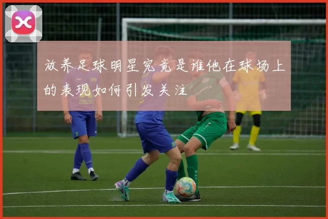放养足球明星究竟是谁他在球场上的表现如何引发关注