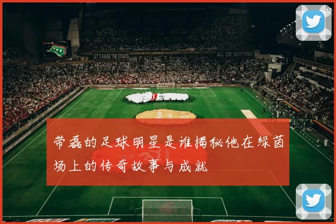 带磊的足球明星是谁揭秘他在绿茵场上的传奇故事与成就