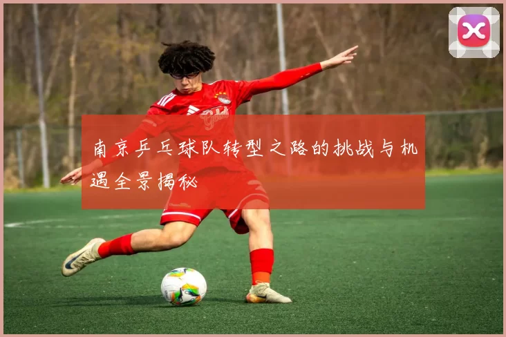 南京乒乓球队转型之路的挑战与机遇全景揭秘