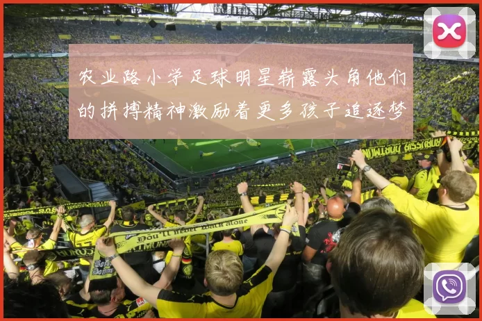 农业路小学足球明星崭露头角他们的拼搏精神激励着更多孩子追逐梦想
