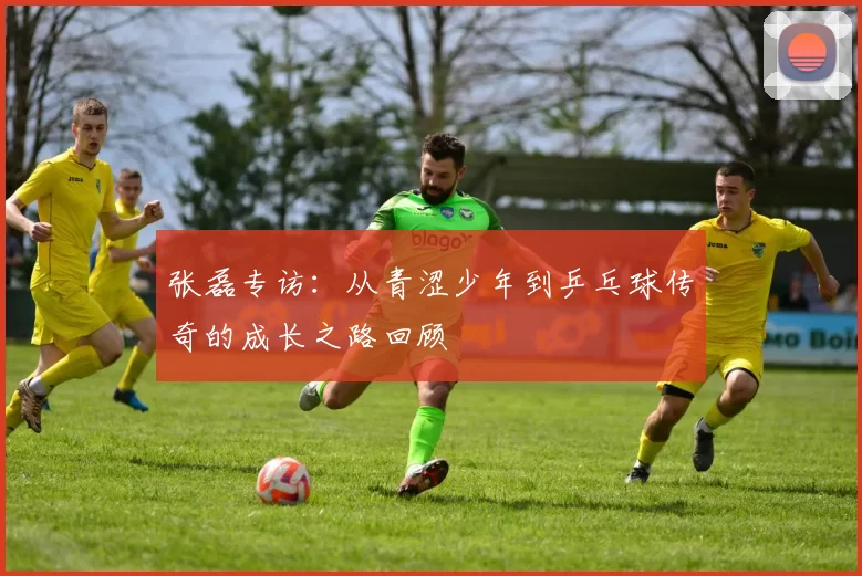 张磊专访：从青涩少年到乒乓球传奇的成长之路回顾