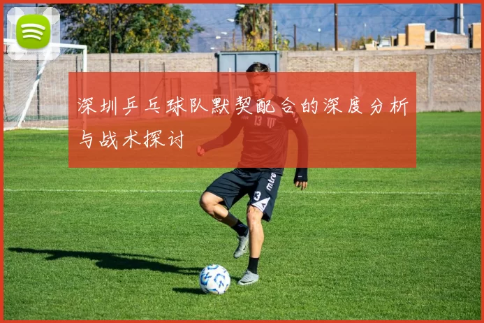 深圳乒乓球队默契配合的深度分析与战术探讨