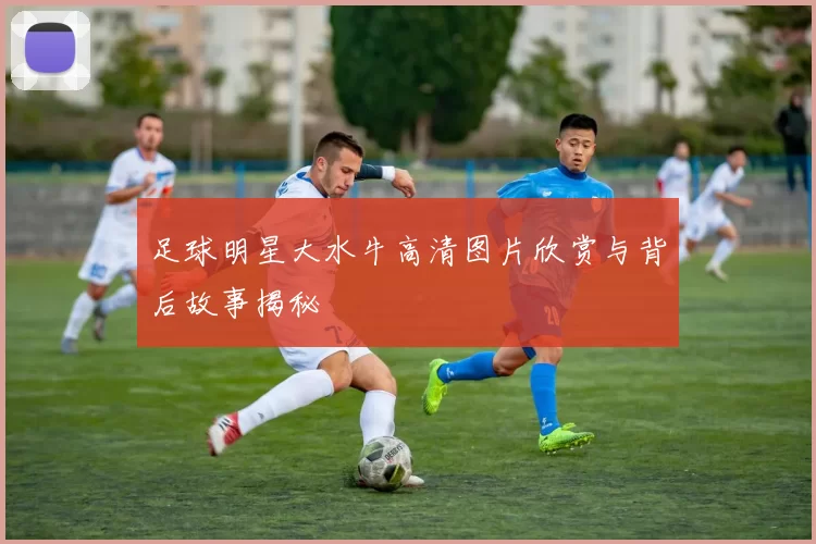 足球明星大水牛高清图片欣赏与背后故事揭秘