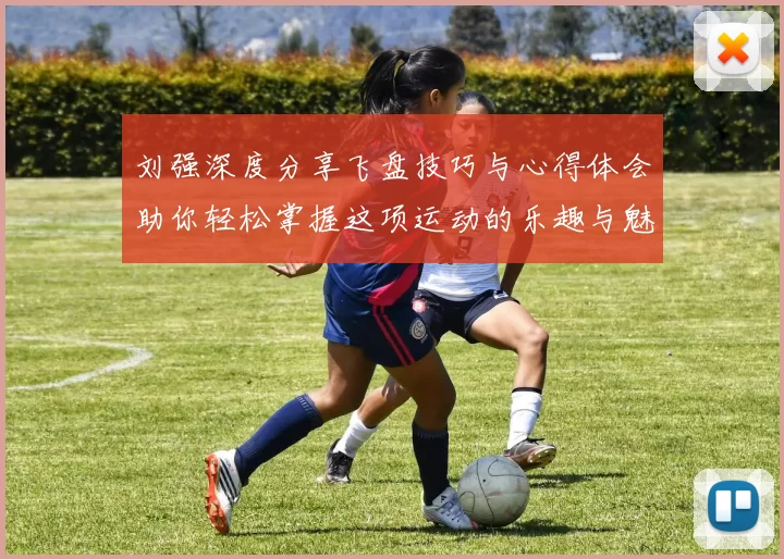 刘强深度分享飞盘技巧与心得体会助你轻松掌握这项运动的乐趣与魅力