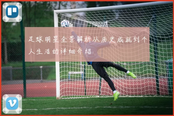 足球明星全景解析从历史成就到个人生活的详细介绍