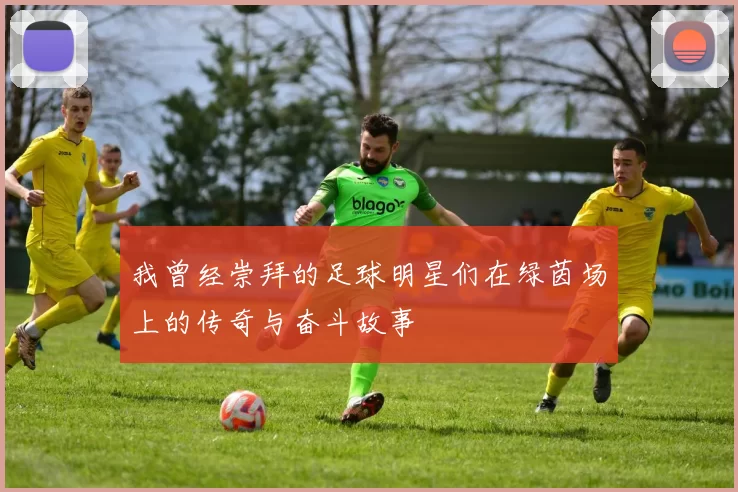 我曾经崇拜的足球明星们在绿茵场上的传奇与奋斗故事