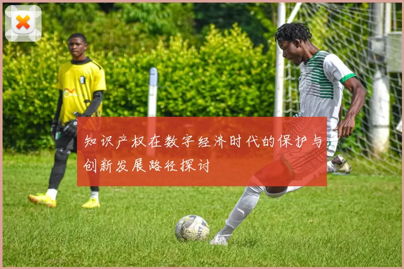 知识产权在数字经济时代的保护与创新发展路径探讨