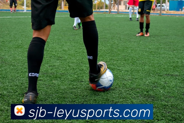 乐鱼体育APP 体育赛事宣传图